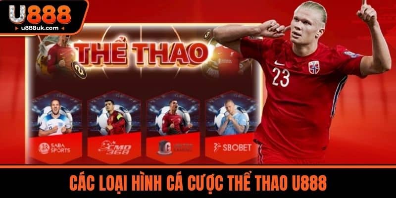Thể Thao U888 2 Các Loại Hình Cá Cược Thể thao U888
