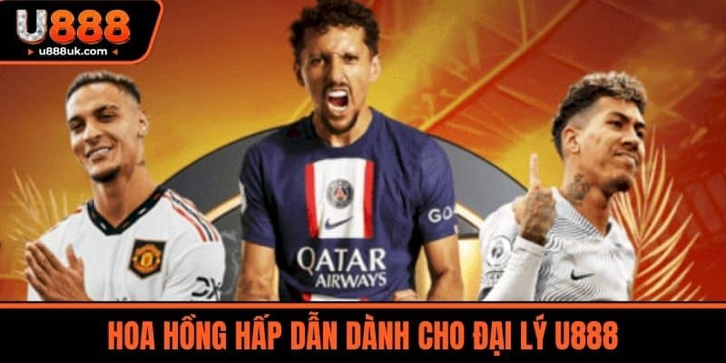 tuyển dụng u888 3 Hoa Hồng Hấp Dẫn Dành Cho Đại Lý U888